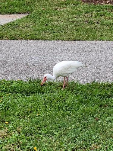 Best Hikes and Trails in Manatee Sanctuary Park | AllTrails