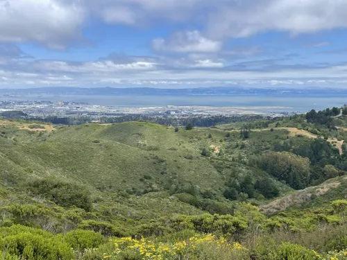 Find the Best Hiking in Half Moon Bay: 11 Trails for all Levels