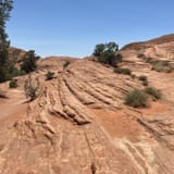 Butterfly, Lava Flow Overlook, West Canyon Road and Petrified Dunes ...