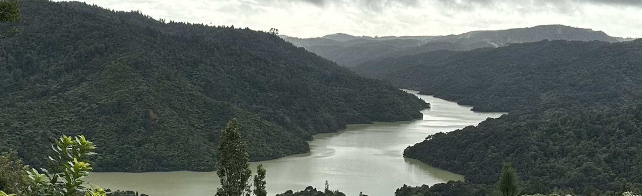 Wairoa Loop Track and Suspension Bridge Track 441 Zdjęcia Auckland