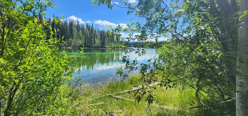 2023 Best Forest Trails in KitimatStikine F AllTrails