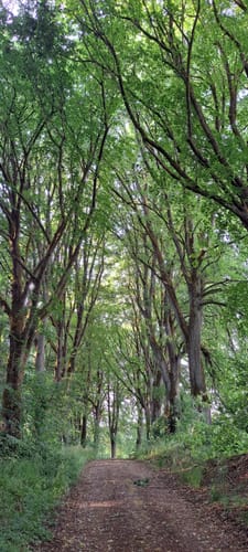 Rundweg Hollfeld: Gelbe Spitze