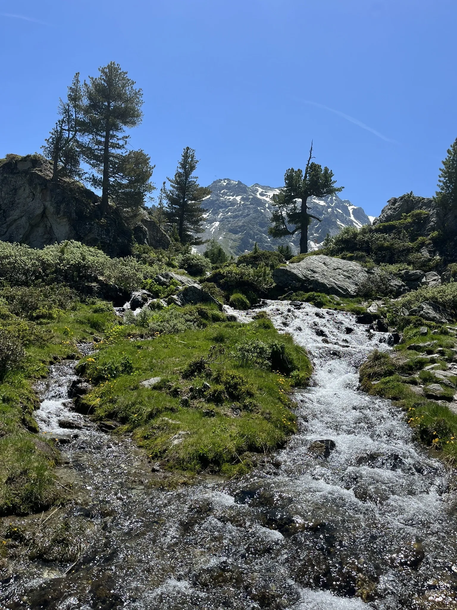 Photo of a trail from Carine CV with title Jardin Japonais via Siviez