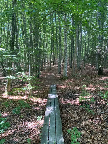Best Hikes and Trails in Skärva Naturreservat | AllTrails