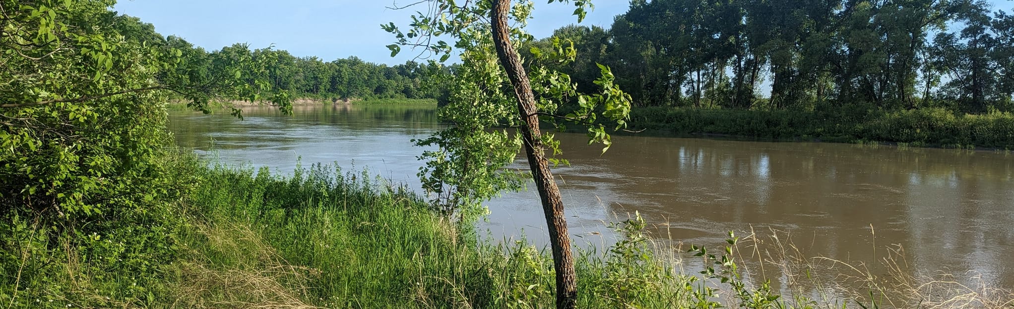 Wild Grape Elm Basswood (CrossCountry Ski Loop), Manitoba, Canada