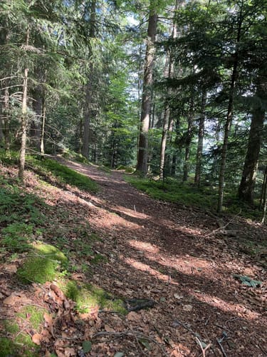 Geiersthal: Rundwanderweg 1