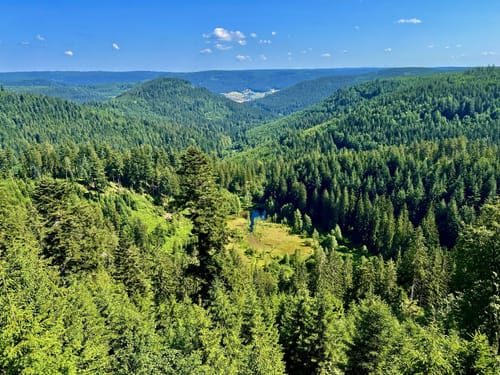 Baiersbronner Himmelsweg: 2-Seen-Tour