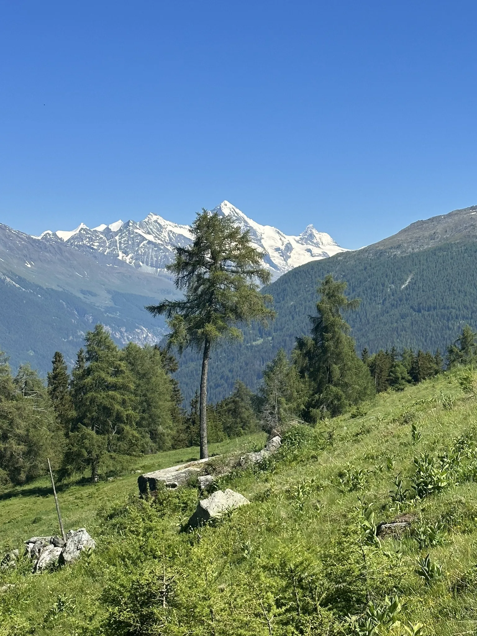 Foto van een route van Marcia P met titel Les Collons - Etherolla - Mont Carré - Thyon 2000 