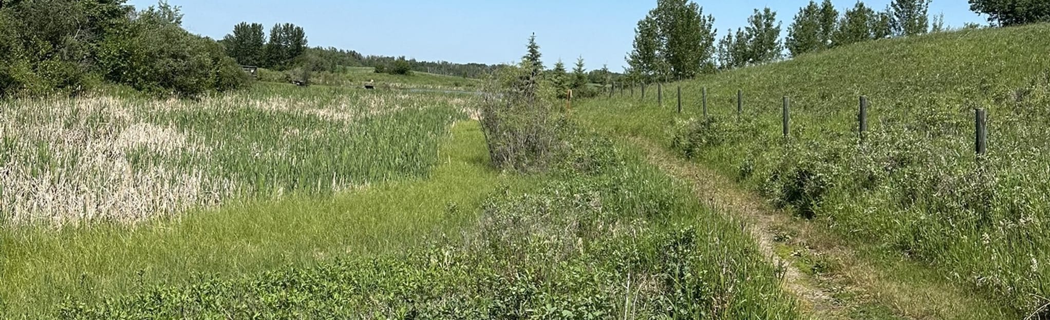 Alix Lake Nature Trail, Alberta, Canada 50 Reviews, Map AllTrails