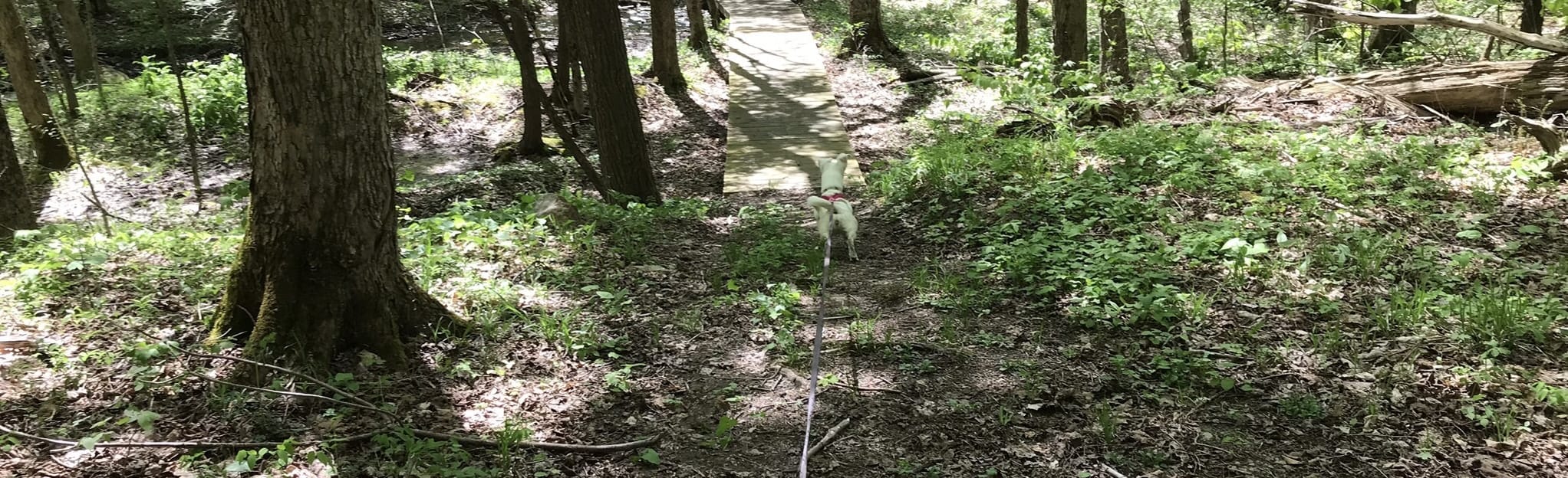 Tug Hill Trail 47 Reviews, Map New York AllTrails