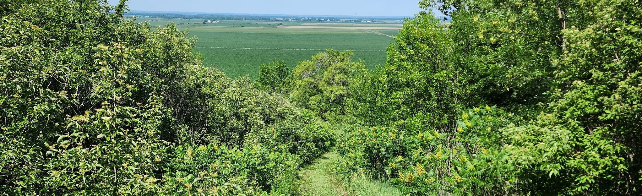 Mondamin North Loop, Iowa 32 Reviews, Map AllTrails