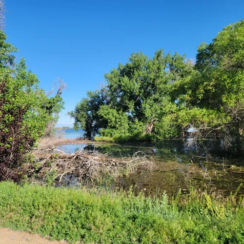 2023 Best Paddle Sports Trails in Commerce City AllTrails