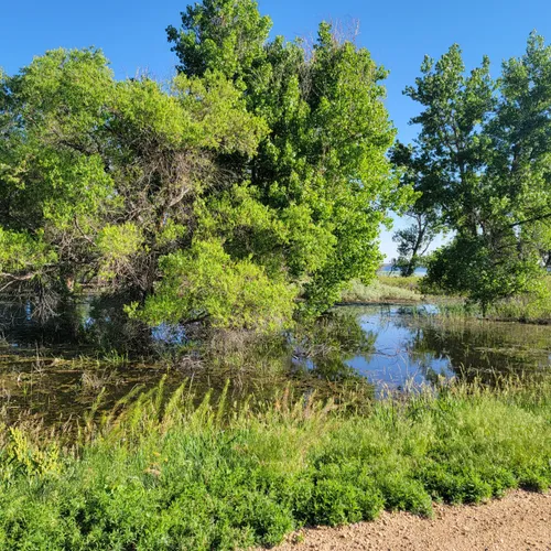 2023 Best Paddle Sports Trails in Commerce City AllTrails