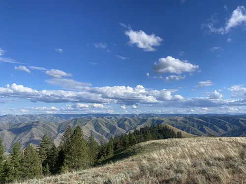 Best Hikes and Trails in Fields Spring State Park AllTrails