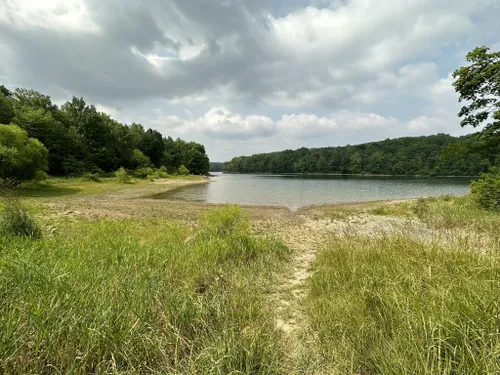 Codorus state park discount mountain bike trails