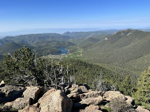 ROSESELSA 遠山 Distance Mountain ROSESELSA「遠山（Distant Mountain）」レビュー。現代の