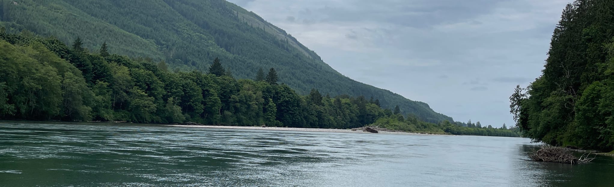 Rasar State Park Loop, Washington 114 Reviews, Map AllTrails