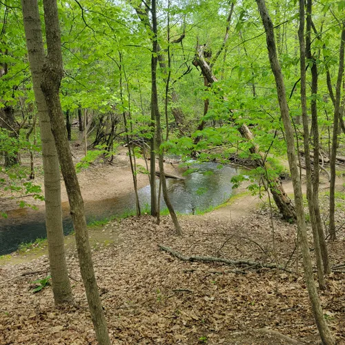 2023 Best Wild Flowers Trails in Farmington AllTrails