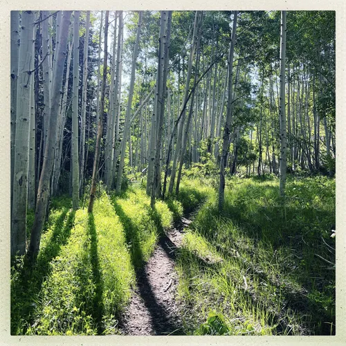 Best Lake Trails in Monticello AllTrails