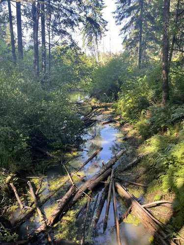 Best Hikes and Trails in Joint Base Lewis-McChord | AllTrails