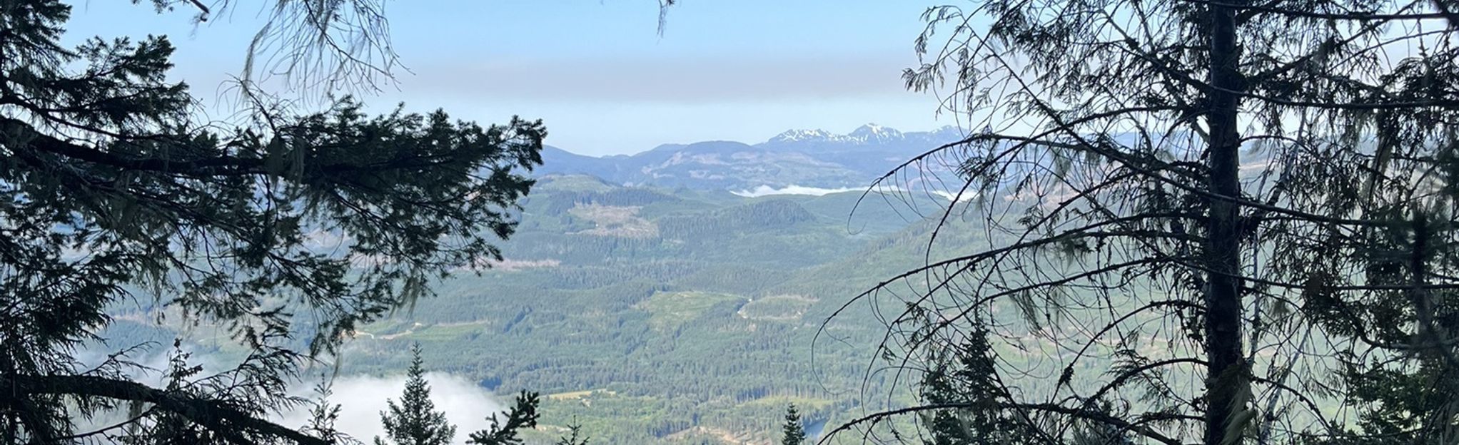Kusam Klimb Trail, British Columbia, Canada 57 Reviews, Map AllTrails