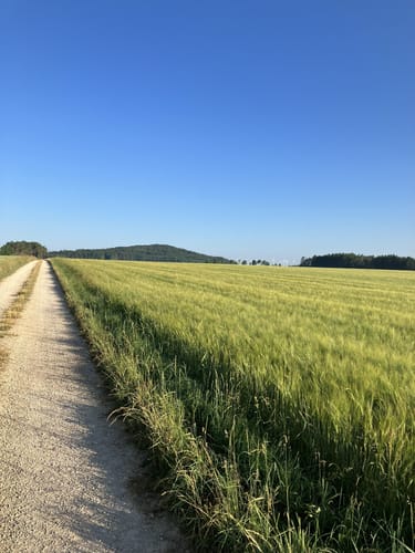 Wanderung von Rdolfshöhe nach Batzhausen