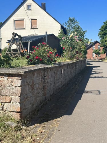 Dierscheid