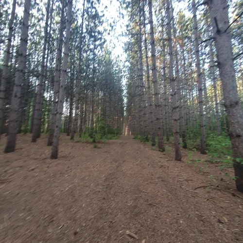 Beste wandelingen en routes in Holland Landing Prairie Provincial