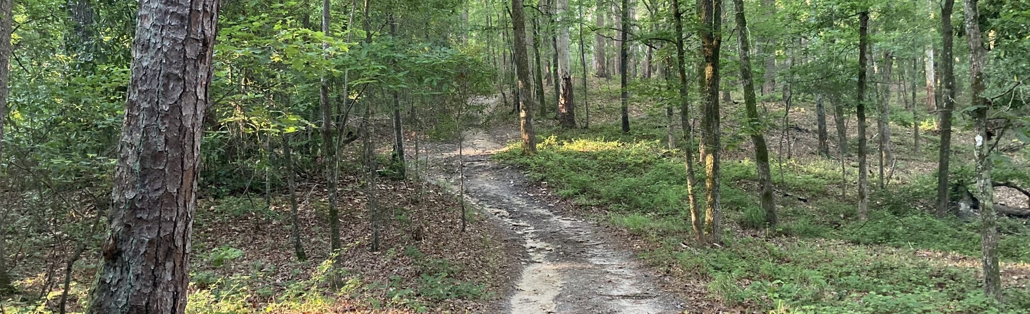 Hitchcock Woods Clark Road Entrance, South Carolina 154 Reviews, Map
