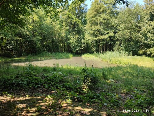 Von Haan zum Schloss Caspersbroich