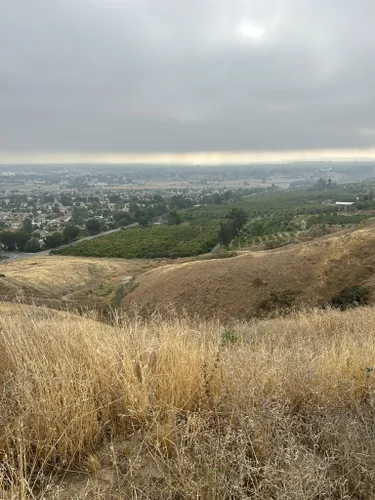 2023 Best Wild Flowers Trails in Loma Linda | AllTrails