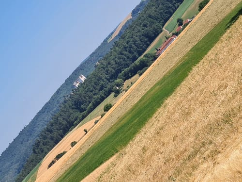 Rundwanderweg Groß-Bieberau Heidekopf 4: Hohe Straße-Weg