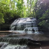 Butter Gap to Cat Gap Trail , North Carolina - 490 Reviews, Map | AllTrails