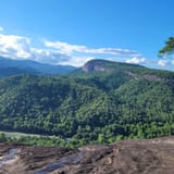 Butter Gap to Cat Gap Trail , North Carolina - 490 Reviews, Map | AllTrails