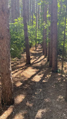2023 Best Trail Running Trails in Sand Ridge State Forest | AllTrails