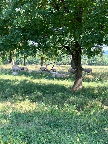 Hersbrucker Rundweg Nr. 2