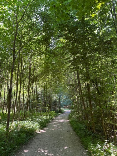 Hersbrucker Rundweg Nr. 2