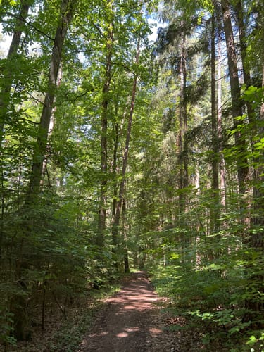 Hersbrucker Rundweg Nr. 2