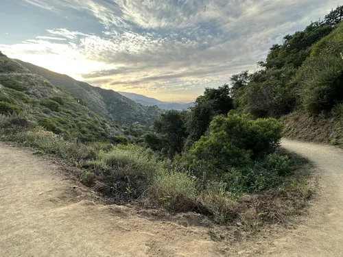 2023 Best 10 Hard Trails in Sierra Madre | AllTrails