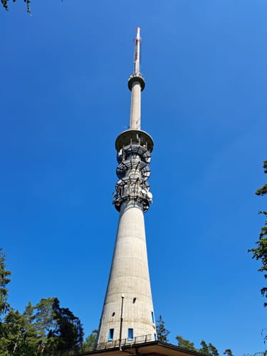 Dörrmorsbach - Pfaffenberg - Hohe-Wart-Haus