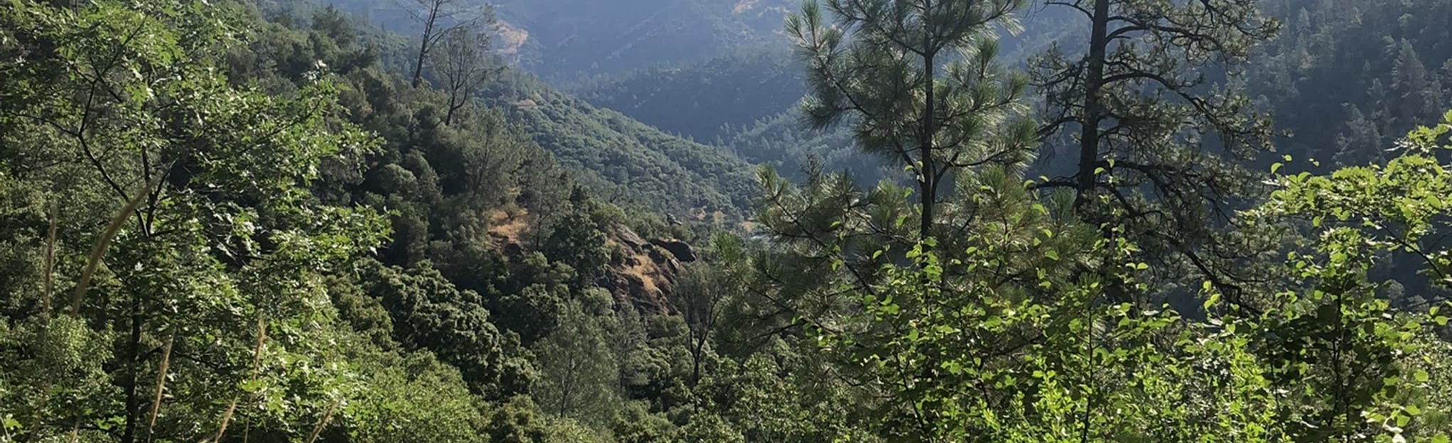 Robie Point Trail 1,022 fotos California AllTrails