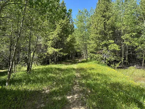 10 Best Trails and Hikes in Casper | AllTrails