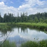 Kingsmere River Trail , Saskatchewan, Canada - 48 Reviews, Map | AllTrails