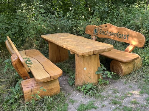Waldrunde an der Neuen Luppe