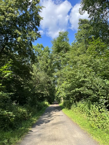 Waldrunde an der Neuen Luppe