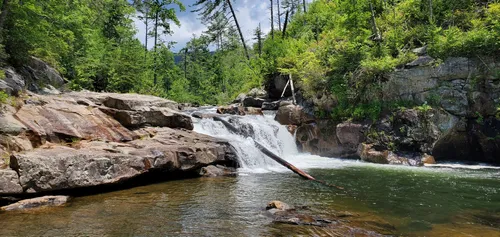 Cohutta 2024 wilderness trails