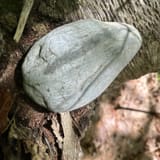 wompatuck state park bike trails