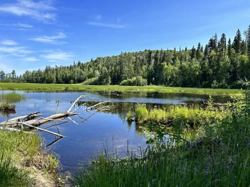 2023 Best Wildlife Trails in Regional District of Bulkley-Nechako ...