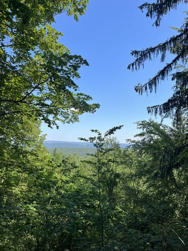Langer Berg, Lositz und Preilipper Kuppe ab Cumbach