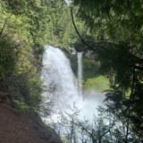 McKenzie River National Recreational Trail, Oregon - 306 Reviews, Map ...